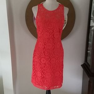 J. Crew Dress